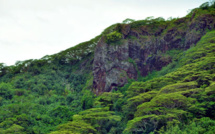 Embourbé mais pas tombé au pied d’une falaise !