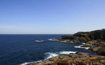 Une femme de 60 ans emportée par un requin dans le sud de l'Australie