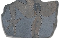 Exposition "Mo'o tua raha, la femme-lézard de la vallée de Papeno'o