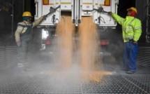 Céréales : Moscou dit que c'est aux Ukrainiens et aux Occidentaux d'agir