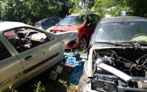 Opération collecte des carcasses à Arue à partir du 7 avril