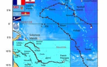 La tortue Ariti de retour dans l'hémisphère sud
