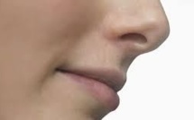 Nez et vagin : de nouvelles avancées grâce à l'ingénierie tissulaire