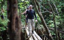 Brésil: un journaliste britannique et un expert brésilien disparaissent en Amazonie