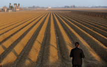 Alerte à la canicule potentiellement mortelle en Californie du Sud