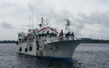 Le suivi électronique des thoniers palangriers, une solution technologique au défi de la pérennité des stocks