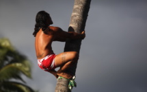 Le Championnat de Sports et jeux traditionnels se poursuit ce week-end