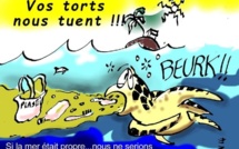 Ecologie : La tortue au cœur des débats