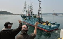 Une flottille baleinière japonaise lève l'ancre, trois semaines après le verdict de la CIJ