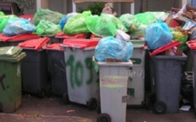 Syndicat mixte des déchets : le Pays demande l'arbitrage du Conseil constitutionnel