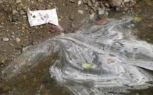 Pesticides dans l'eau: les agriculteurs ont encore beaucoup à faire