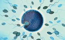 Conçue par don de sperme, elle se bat pour la levée de l'anonymat