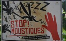 La campagne de démoustication s’est achevée fin mars