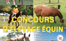 Premier concours d'élevage équin dimanche à Mataiea