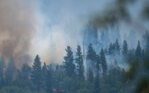 Les séquoias géants de Yosemite ont été épargnés par les flammes
