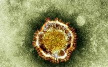 Premier cas de Coronavirus MERS au Liban (ministère)