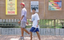 La Nouvelle-Calédonie, un édifice institutionnel complexe