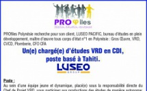 PROfiles Polynésie recherche pour son client LUSEO PACIFIC un(e) chargé(e) d’études VRD en CDI