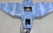 Corées: le drone nord-coréen était en fait une porte de toilettes