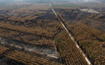 Après 12 jours de lutte, les deux incendies "hors norme" de Gironde sont "fixés"