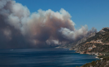 Grèce: les pompiers tentent de sauver un important parc national