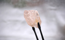 Découverte d'un diamant rose considéré comme le plus gros en 300 ans