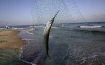 L'humanité a consommé tout ce que la planète peut produire en un an sans s'épuiser