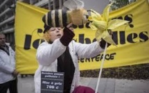 Greenpeace au supermarché pour aider à "sauver les abeilles"