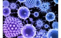 Un rapport réclame une stratégie plus ambitieuse contre les hépatites