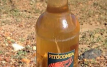 Une marque joint la cachaça au cannabis au Brésil: la "Pituconha"