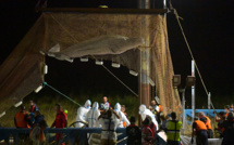 "Trop affaibli", le béluga n'a pas survécu au sauvetage de la dernière chance