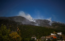 Portugal: 10.000 hectares partis en fumée dans une région protégée