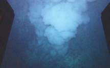 Sous l'océan, le mouvement des continents a orchestré l'évolution du vivant