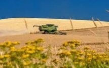 Accaparement des terres: en France aussi?