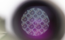 Covid-19: l'UE examine un nouveau vaccin allemand s'appuyant sur des nanotechnologies