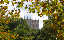 Au Royaume-Uni, chaleur et sécheresse provoquent un "faux automne"