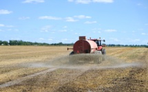 Derrière la flambée du gaz en Europe, le spectre d'une pénurie mondiale d'engrais