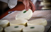 Dans les montagnes des Alpes, les fromages souffrent d'un été trop chaud