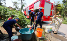 "Tout est mort": un agriculteur chinois dépité par la canicule