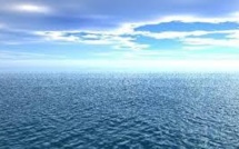 La valeur de la haute mer pour le climat pourrait dépasser 200 Mds de dollars