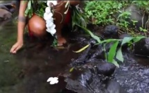 Tahiti à couper le souffle: "Ia ora na, let's spread the word"