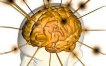 "Nos précieuses endorphines" par Frédéric Précloux, chiropracteur à Papeete