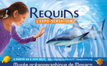 Musée océanographique de Monaco: des artistes chinois veulent réconcilier hommes et requins