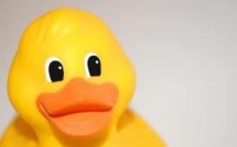 Australie: le cambrioleur bombarde de sex toys la patronne d'une boutique érotique