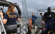 La goélette Tara sur le chemin du retour après deux ans de moisson de micro-organismes