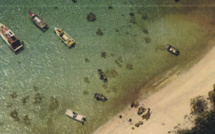 ​Pêche à la tortue : Répression absolue