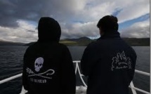 Sea Shepherd met le cap sur les îles Féroé pour protéger les dauphins