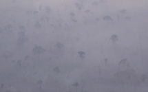 26% de l'Amazonie irréversiblement détruite, avertissent des chefs indigènes