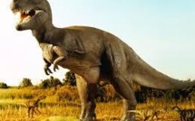 Les dinosaures, des animaux à sang tiède