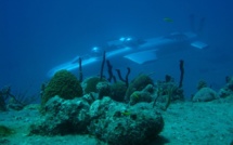 A Fidji un hôtel de luxe propose des promenades en sous-marin